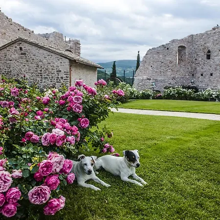 Gospodarstwo wiejskie Rocca Dei Trinci Capodacqua (Foligno)